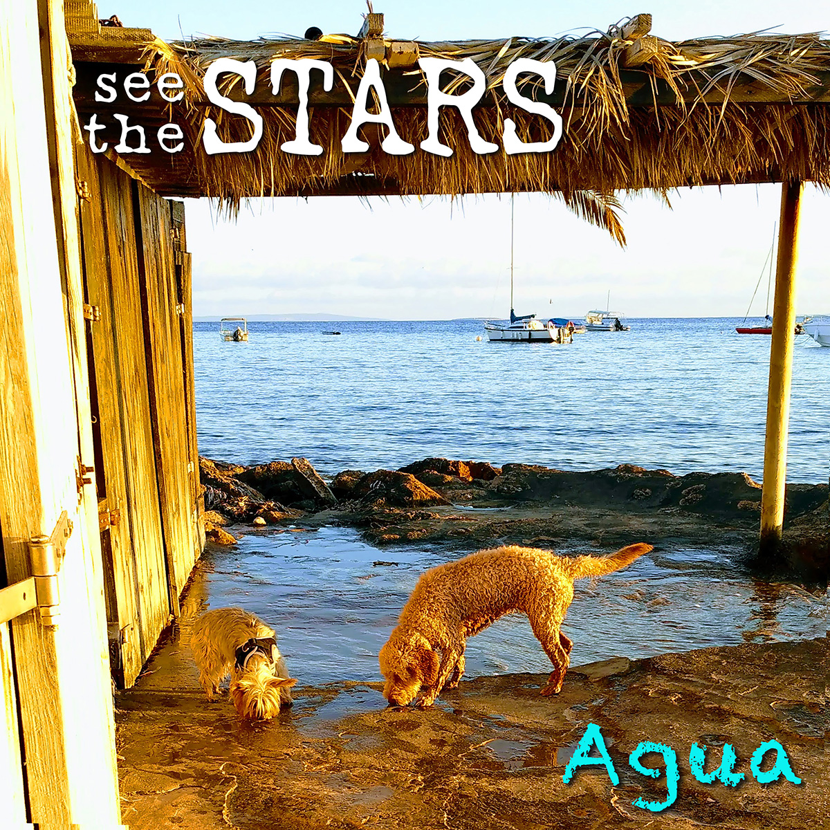 Agua by See the Stars