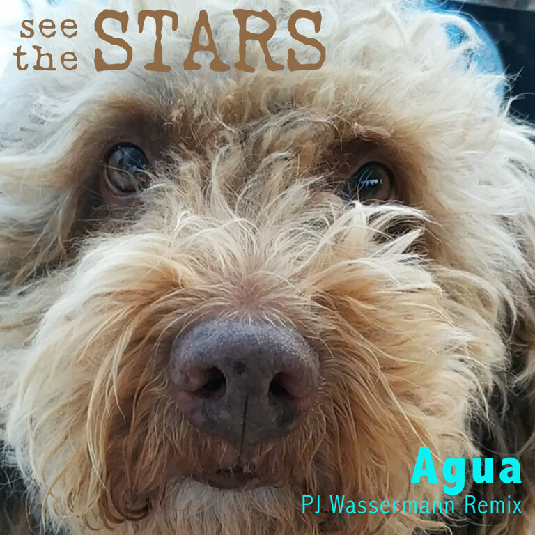 See the Stars - Agua (PJ Wassermann Remix)